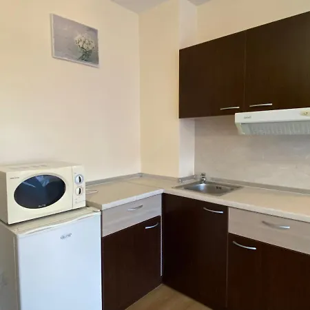 Vechna R 7 Sunny Apartment